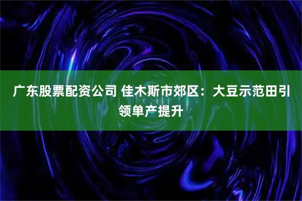 广东股票配资公司 佳木斯市郊区：大豆示范田引领单产提升